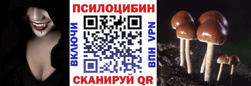 Псилоцибиновые грибы Cubensis Апшеронск