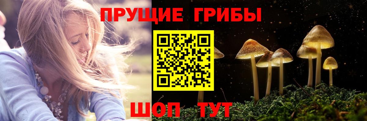 Псилоцибиновые грибы ЛСД  Вход с VPN  Псилоцибиновые грибы ЛСД  что такое   Апшеронск 